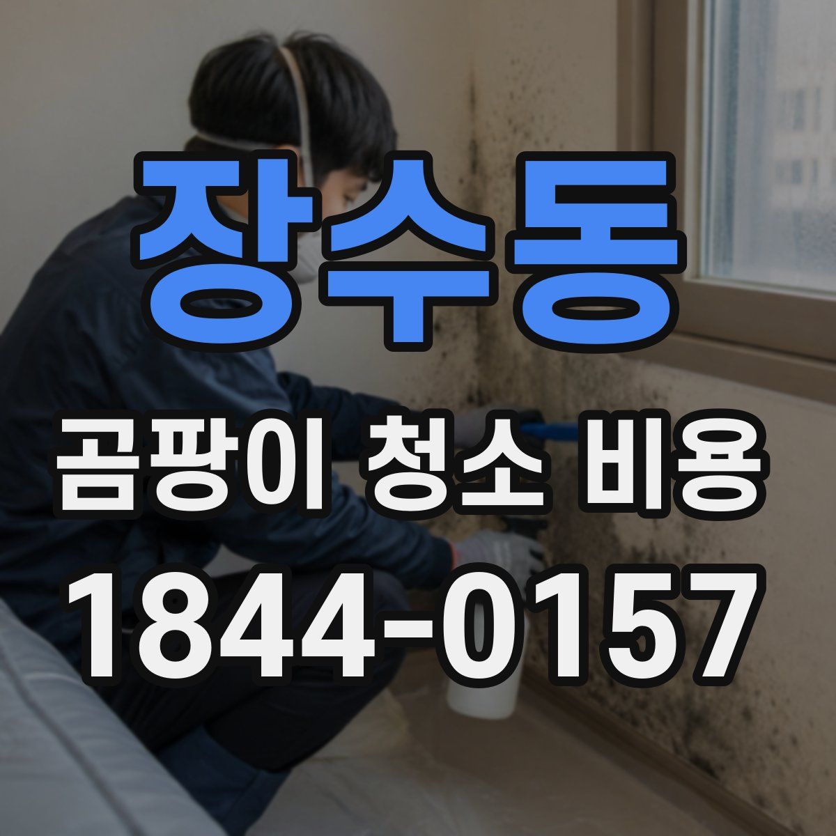 장수동 곰팡이 청소 비용