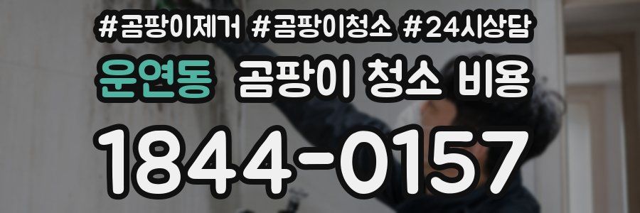 운연동 곰팡이 청소 비용