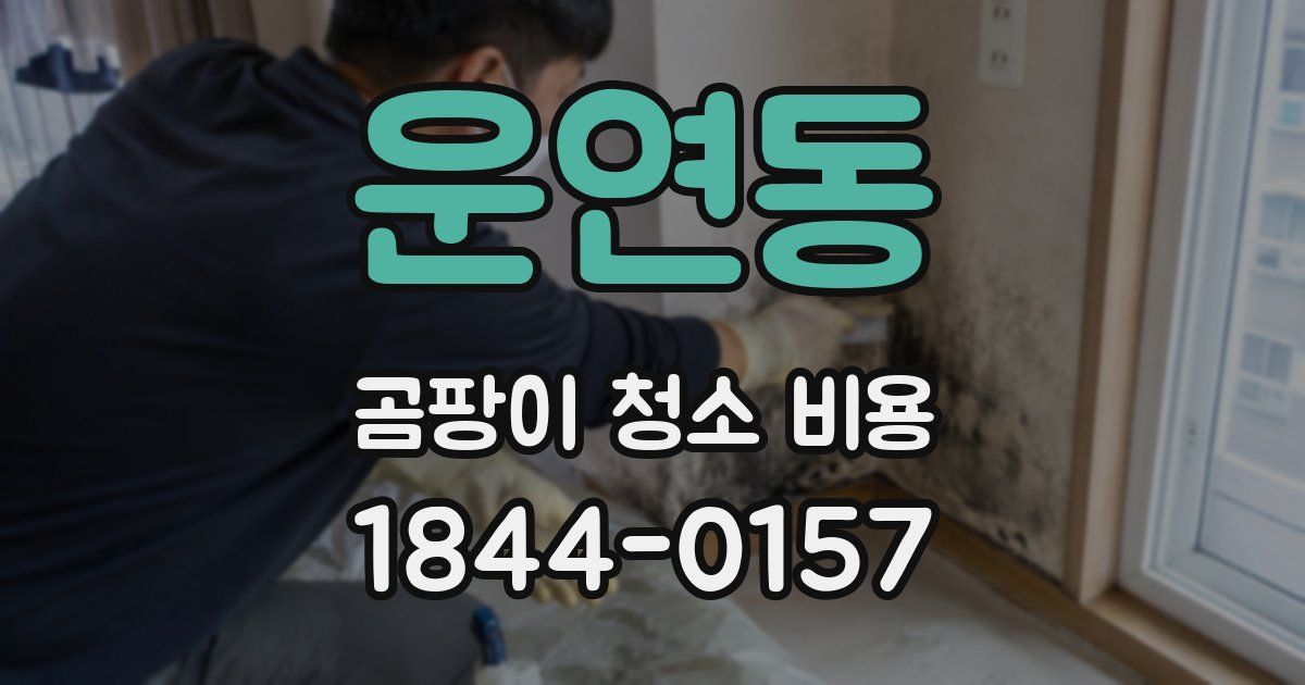 운연동 곰팡이 청소 비용