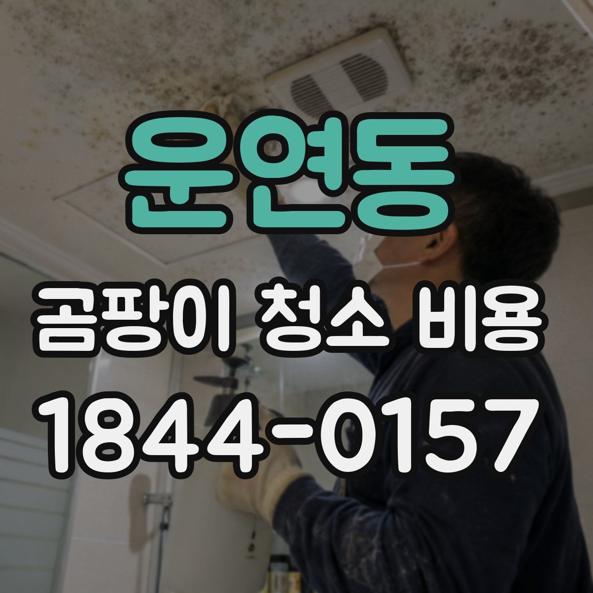 운연동 곰팡이 청소 비용