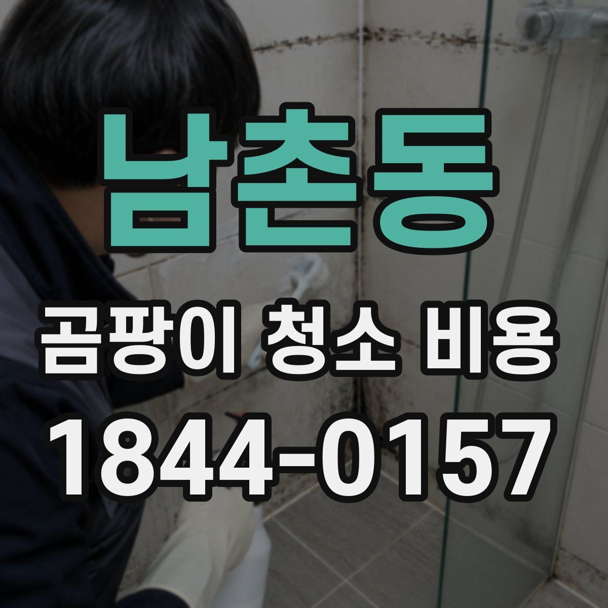 남촌동 곰팡이 청소 비용