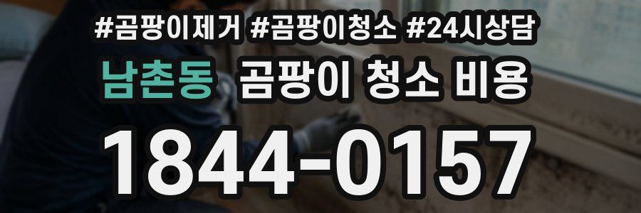 남촌동 곰팡이 청소 비용