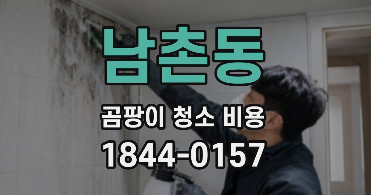 남촌동 곰팡이 청소 비용