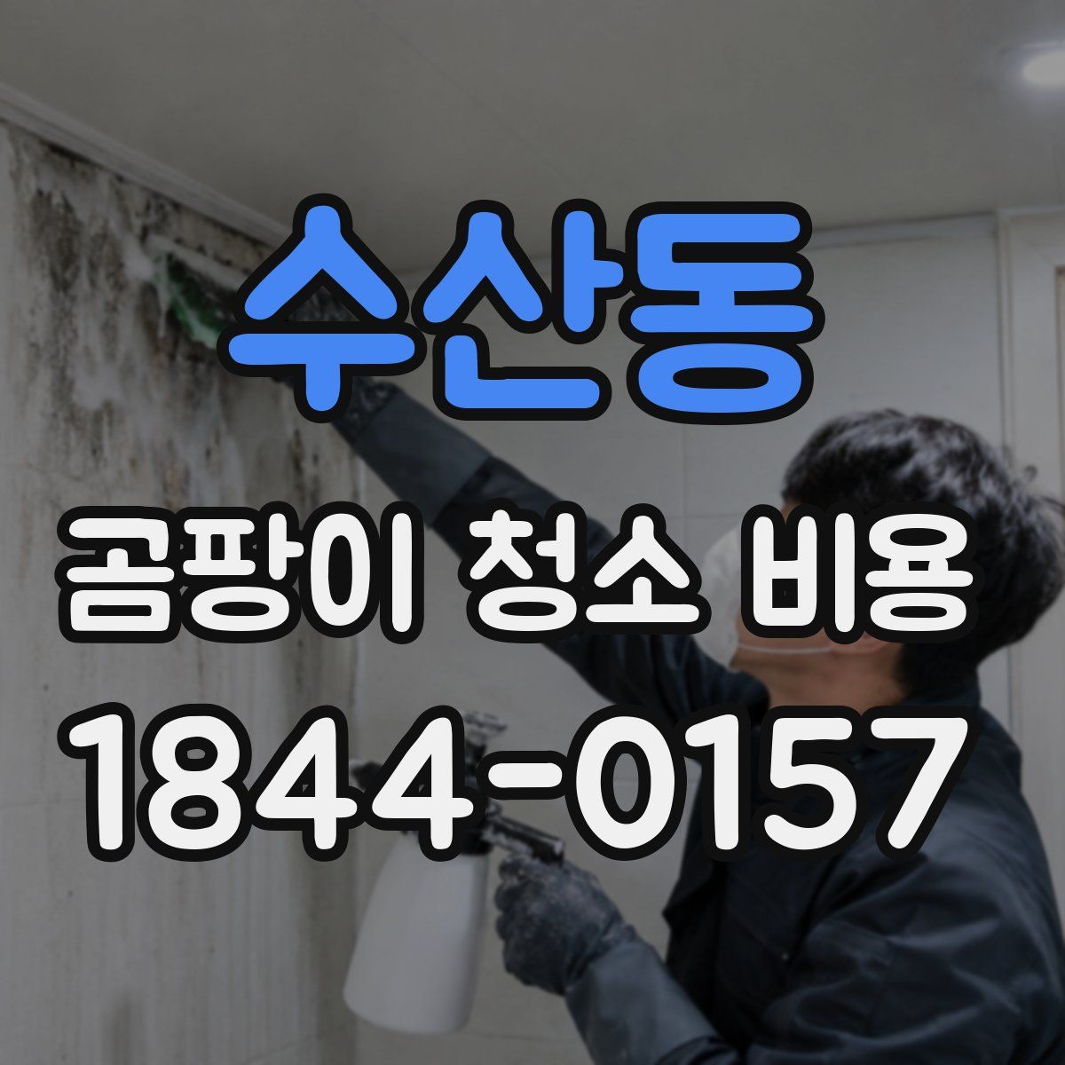 수산동 곰팡이 청소 비용
