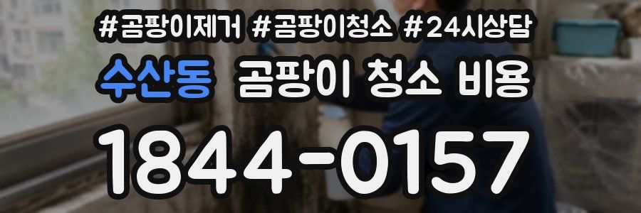 수산동 곰팡이 청소 비용