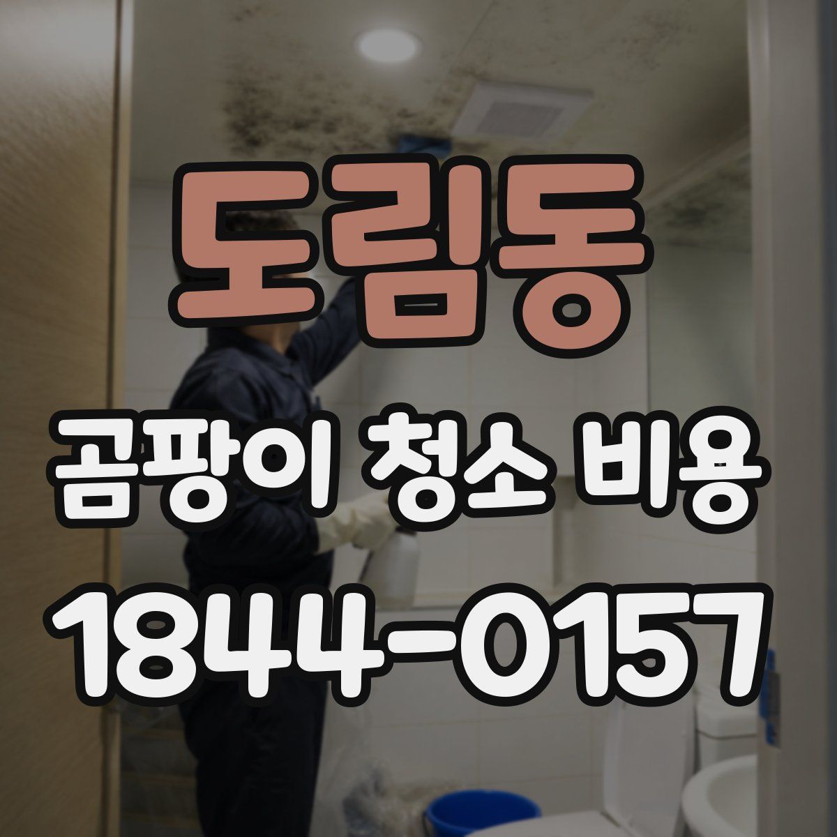 도림동 곰팡이 청소 비용