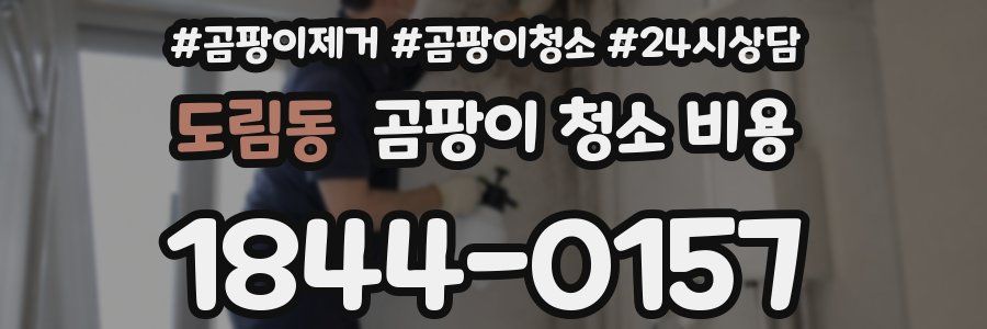 도림동 곰팡이 청소 비용