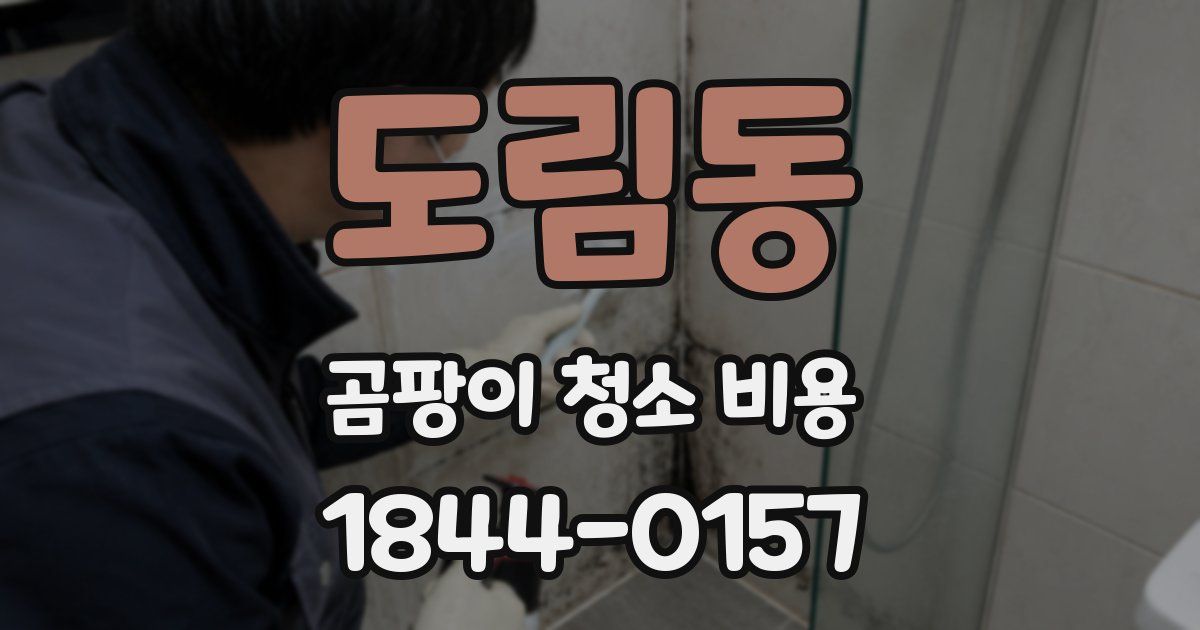 도림동 곰팡이 청소 비용