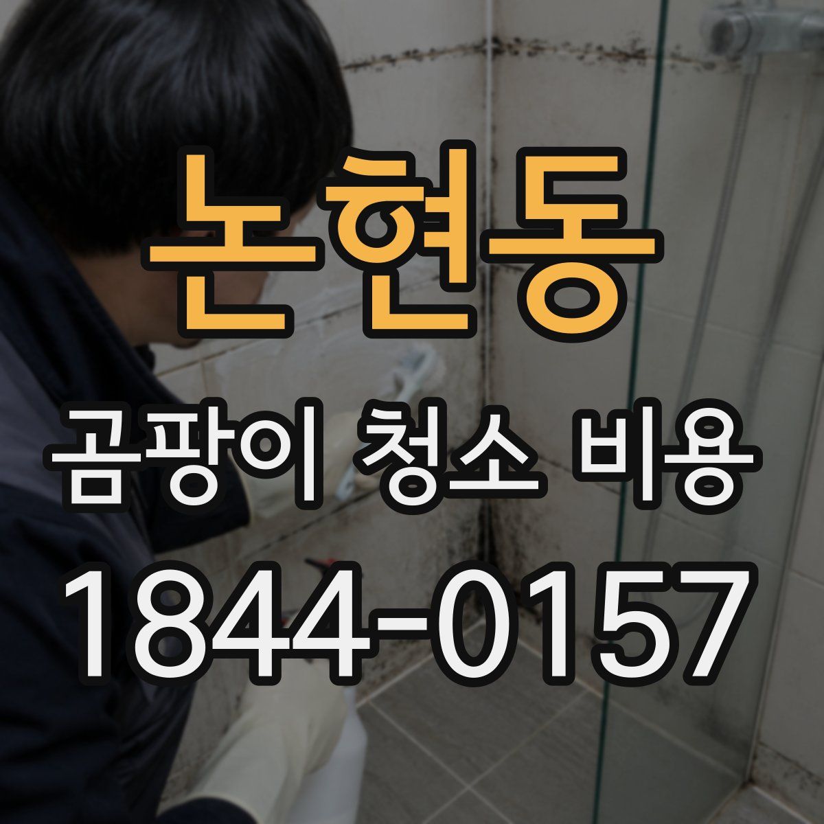 논현동 곰팡이 청소 비용