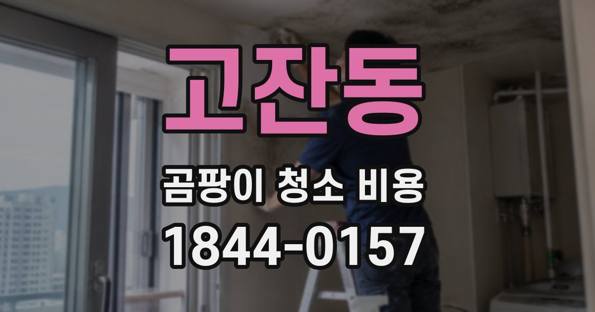 고잔동 곰팡이 청소 비용