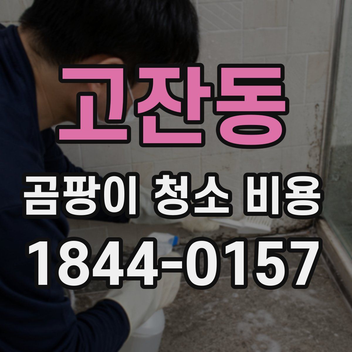 고잔동 곰팡이 청소 비용