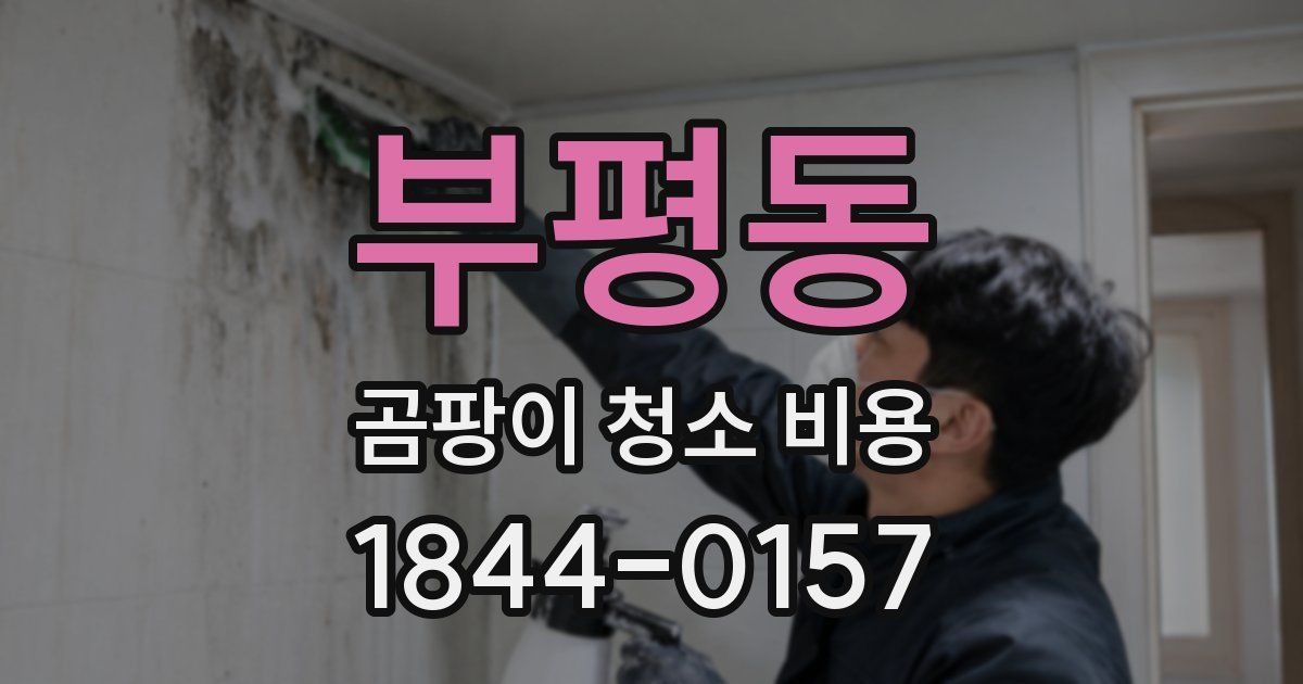 부평동 곰팡이 청소 비용