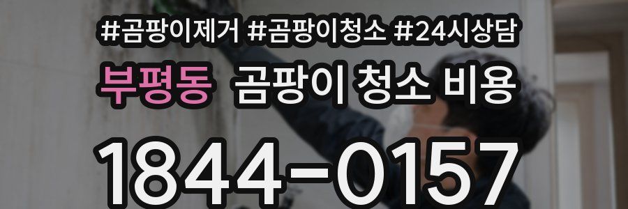 부평동 곰팡이 청소 비용