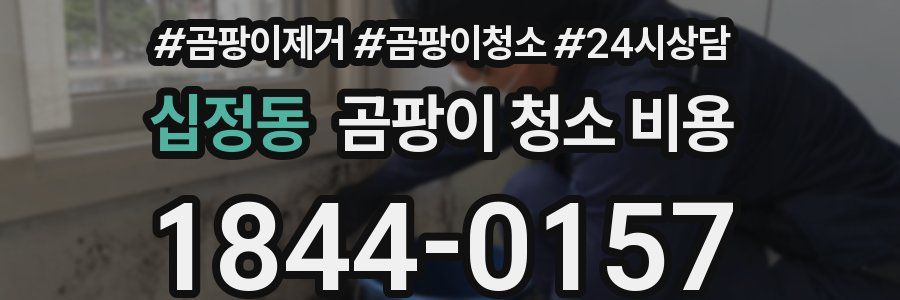 십정동 곰팡이 청소 비용