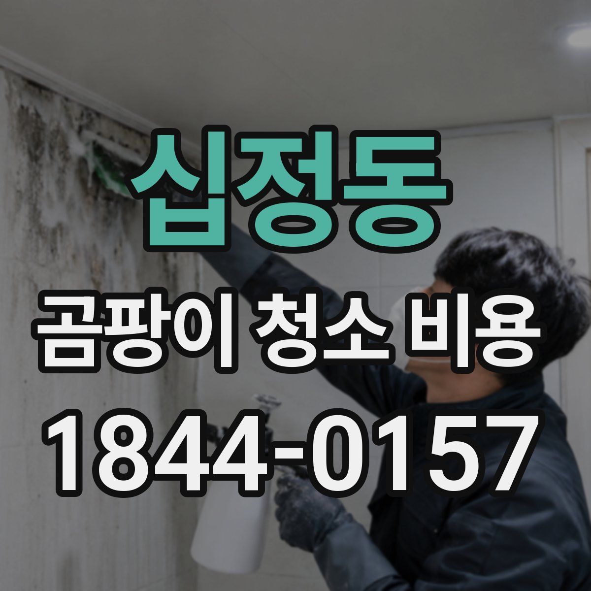 십정동 곰팡이 청소 비용