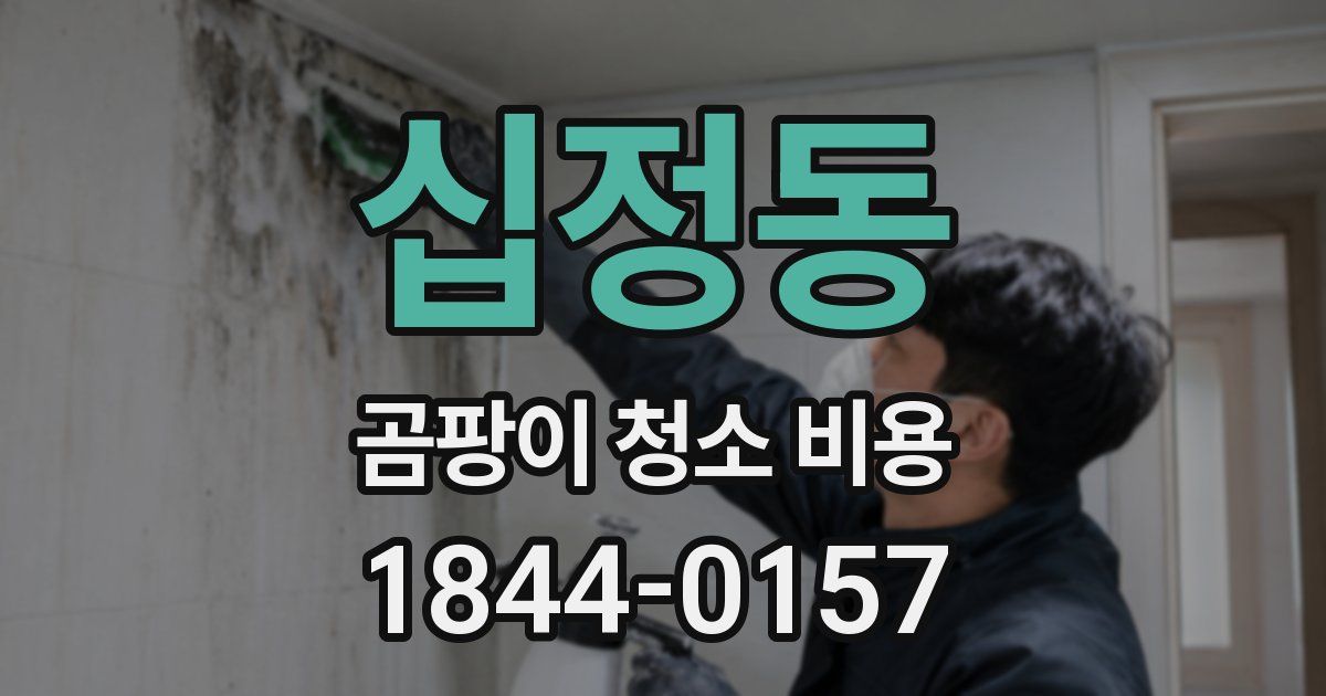 십정동 곰팡이 청소 비용