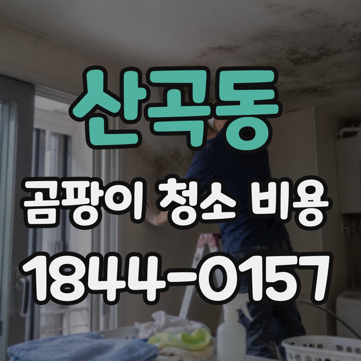 산곡동 곰팡이 청소 비용