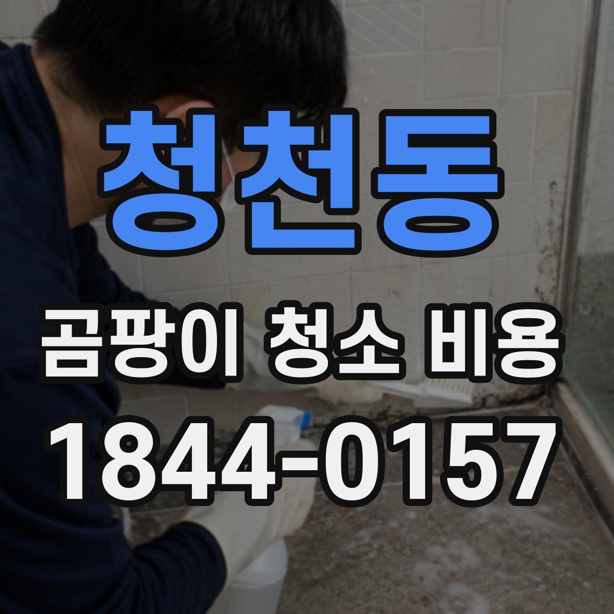 청천동 곰팡이 청소 비용