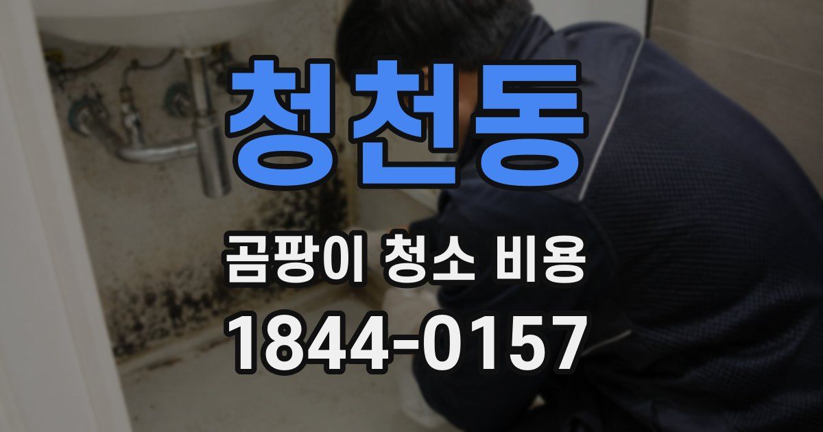 청천동 곰팡이 청소 비용