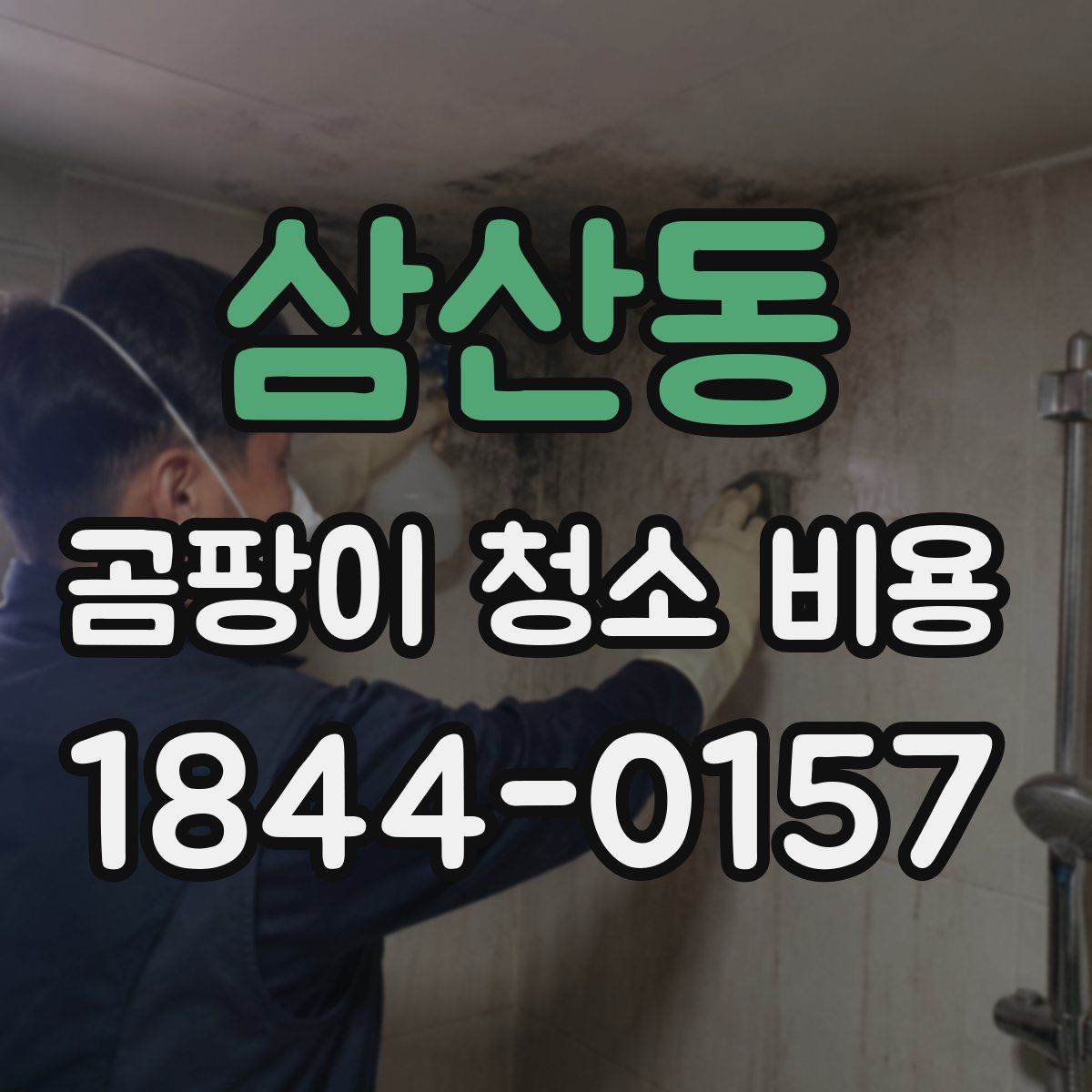 삼산동 곰팡이 청소 비용