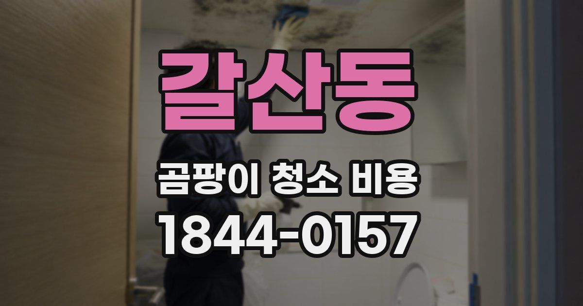갈산동 곰팡이 청소 비용