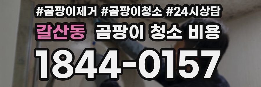 갈산동 곰팡이 청소 비용