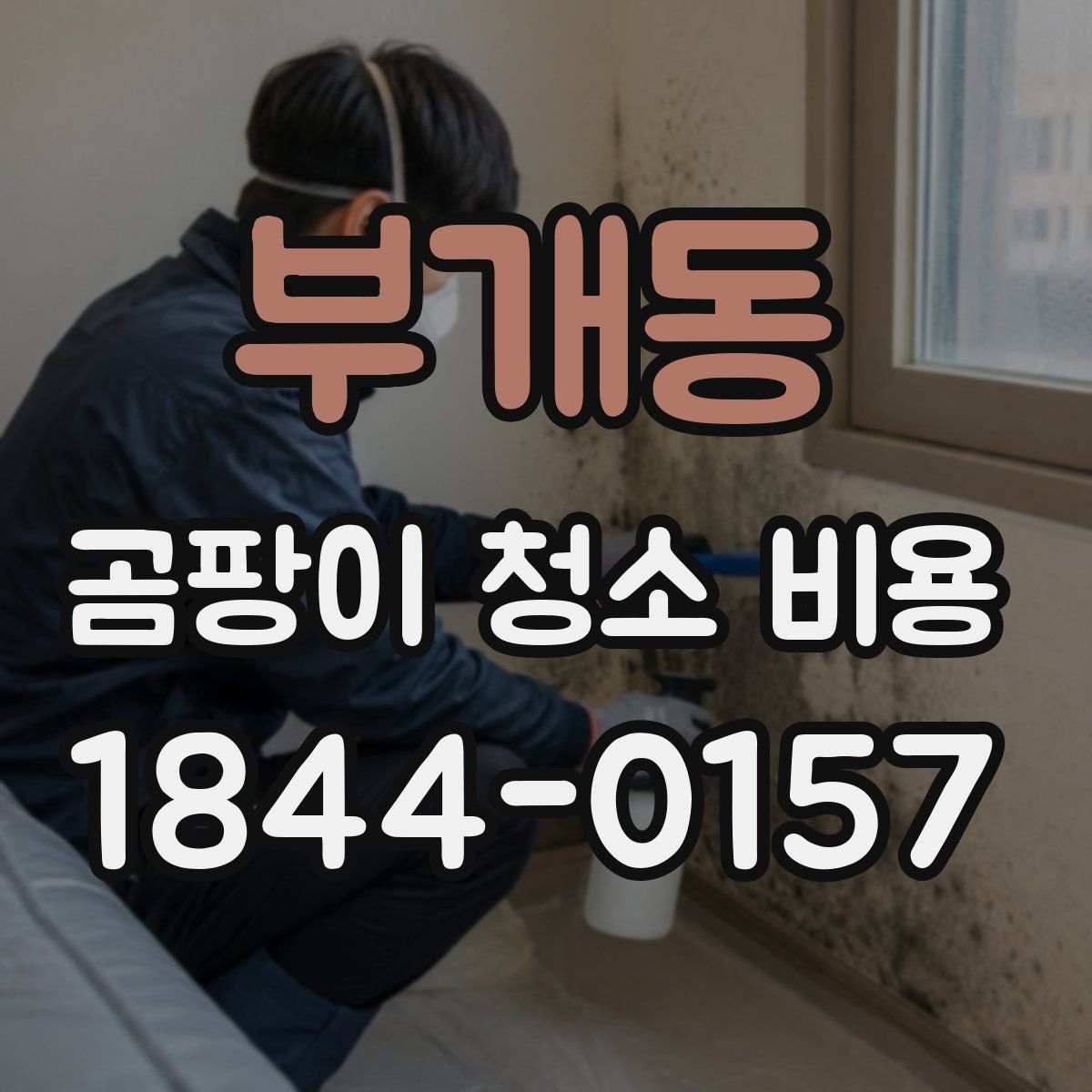 부개동 곰팡이 청소 비용