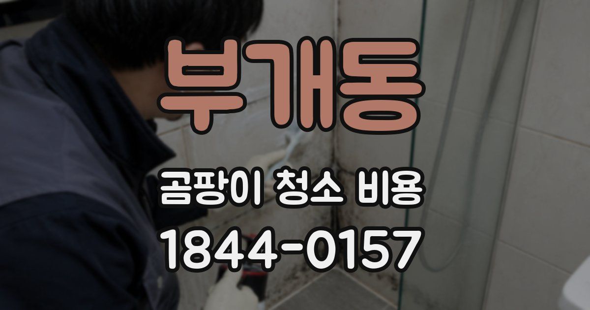 부개동 곰팡이 청소 비용