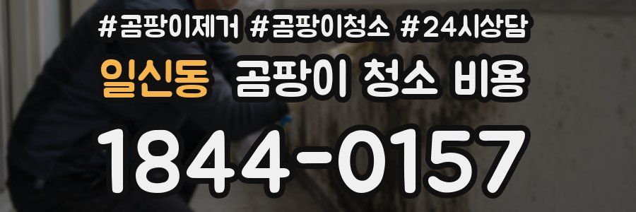 일신동 곰팡이 청소 비용