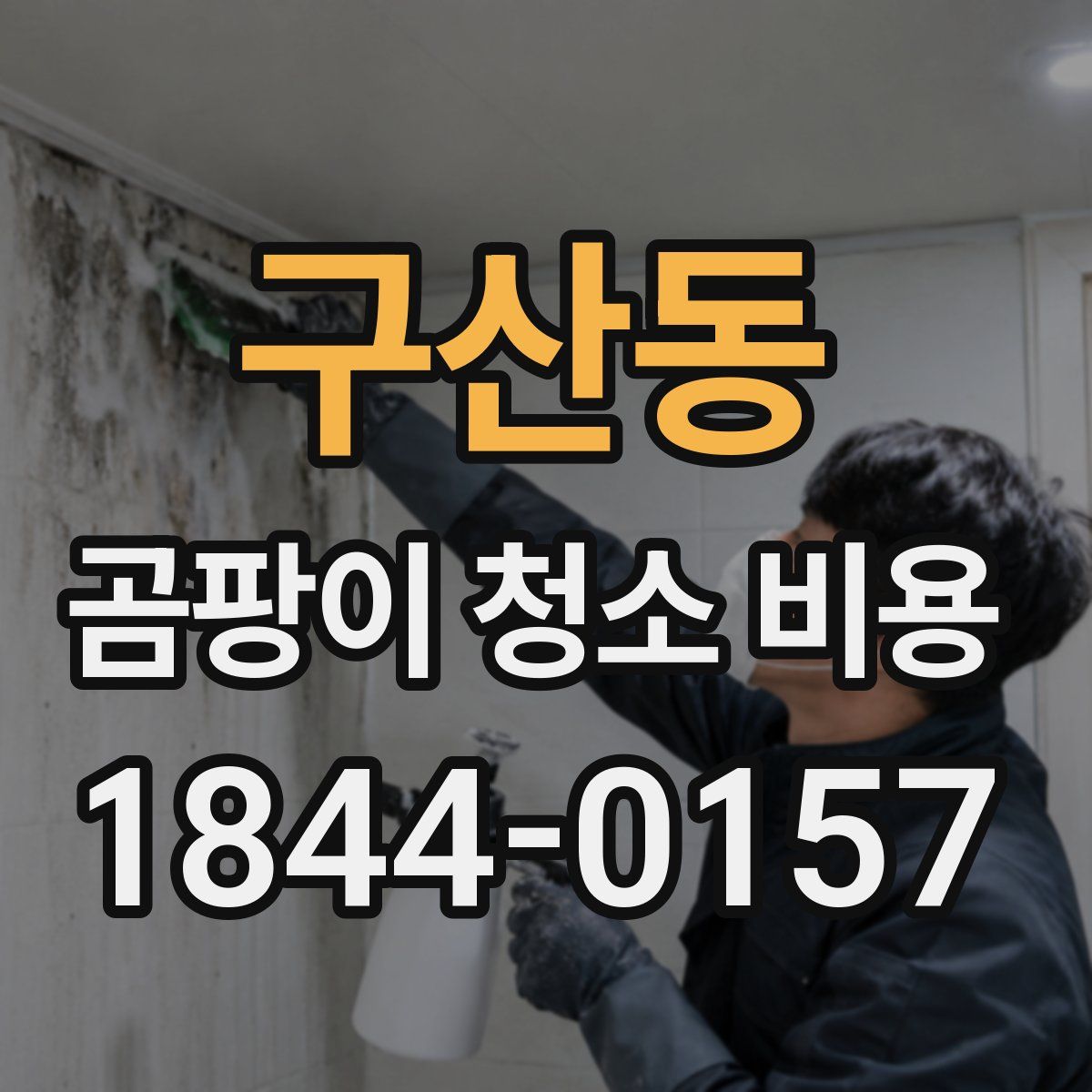 구산동 곰팡이 청소 비용