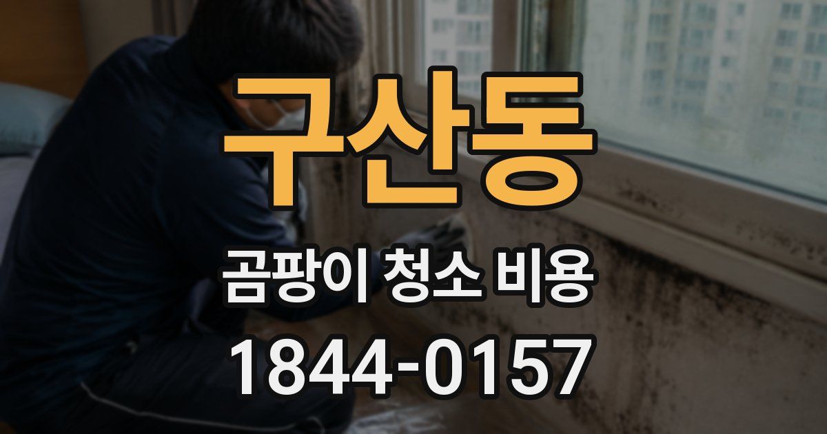 구산동 곰팡이 청소 비용