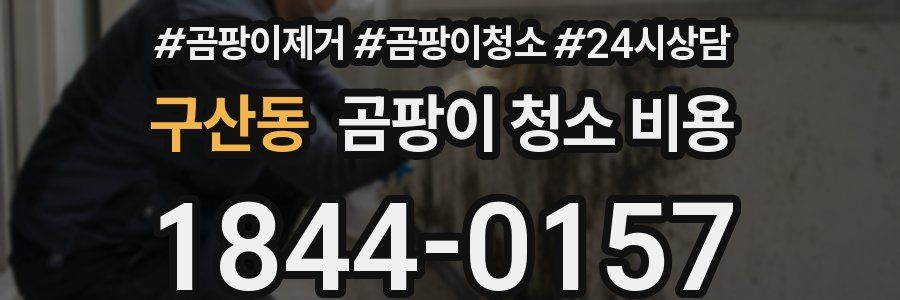 구산동 곰팡이 청소 비용