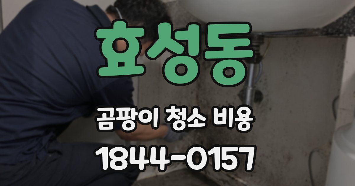 효성동 곰팡이 청소 비용