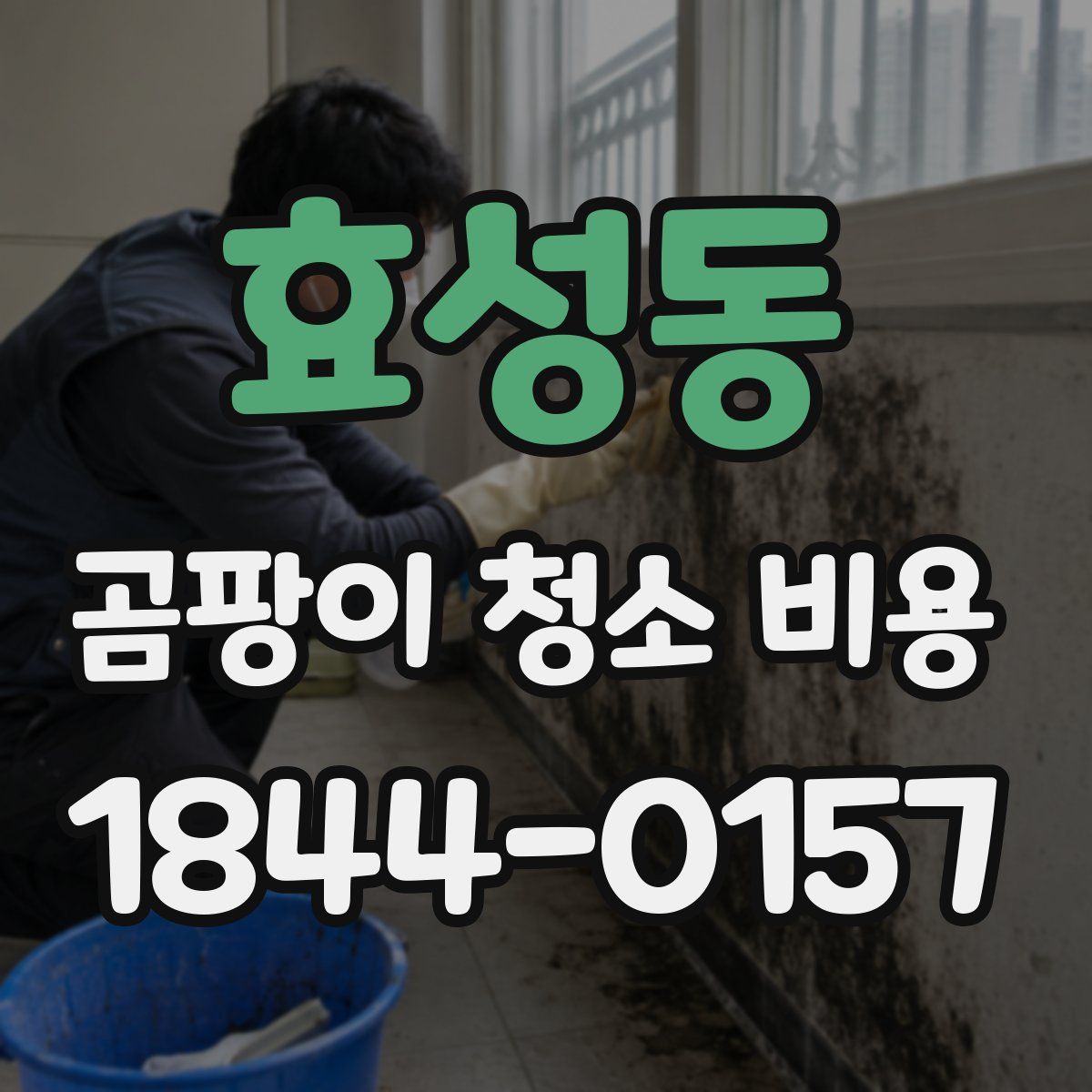 효성동 곰팡이 청소 비용