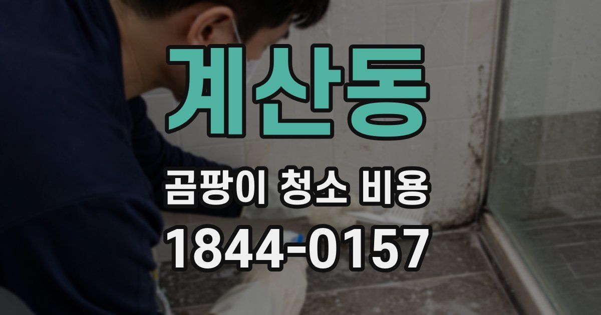 계산동 곰팡이 청소 비용