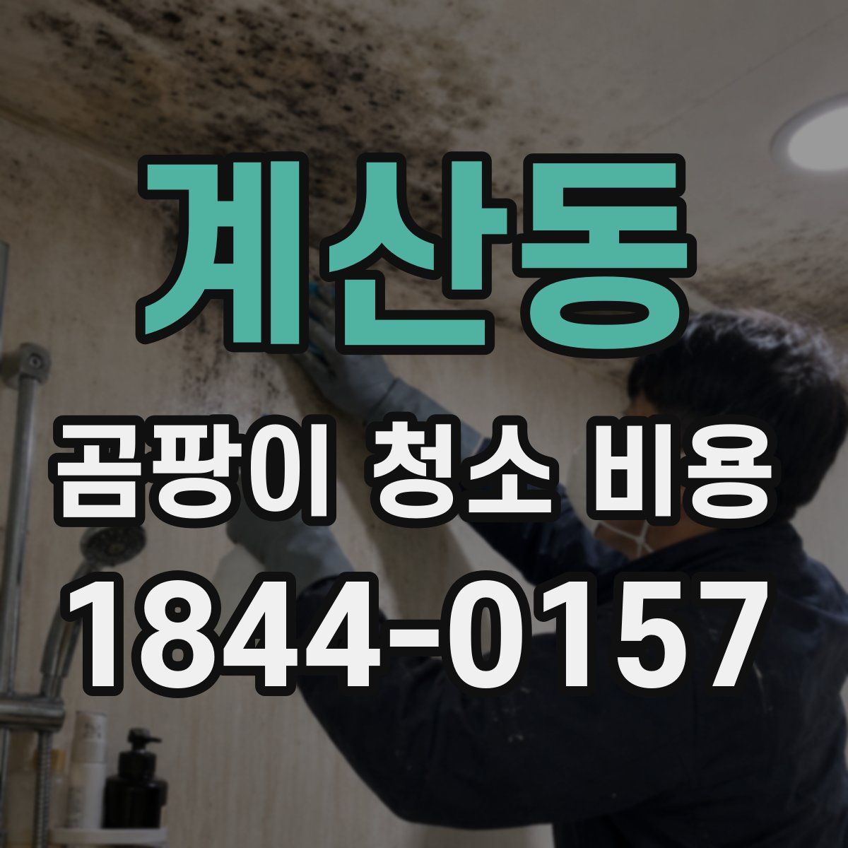 계산동 곰팡이 청소 비용
