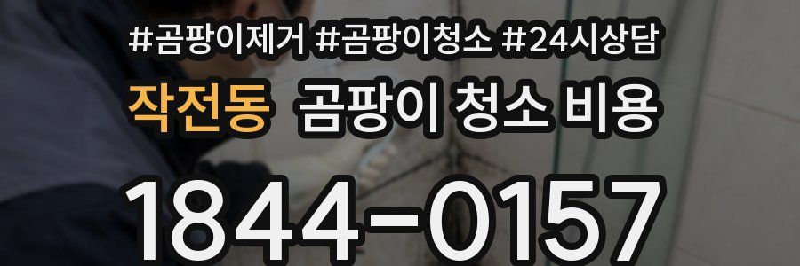 작전동 곰팡이 청소 비용