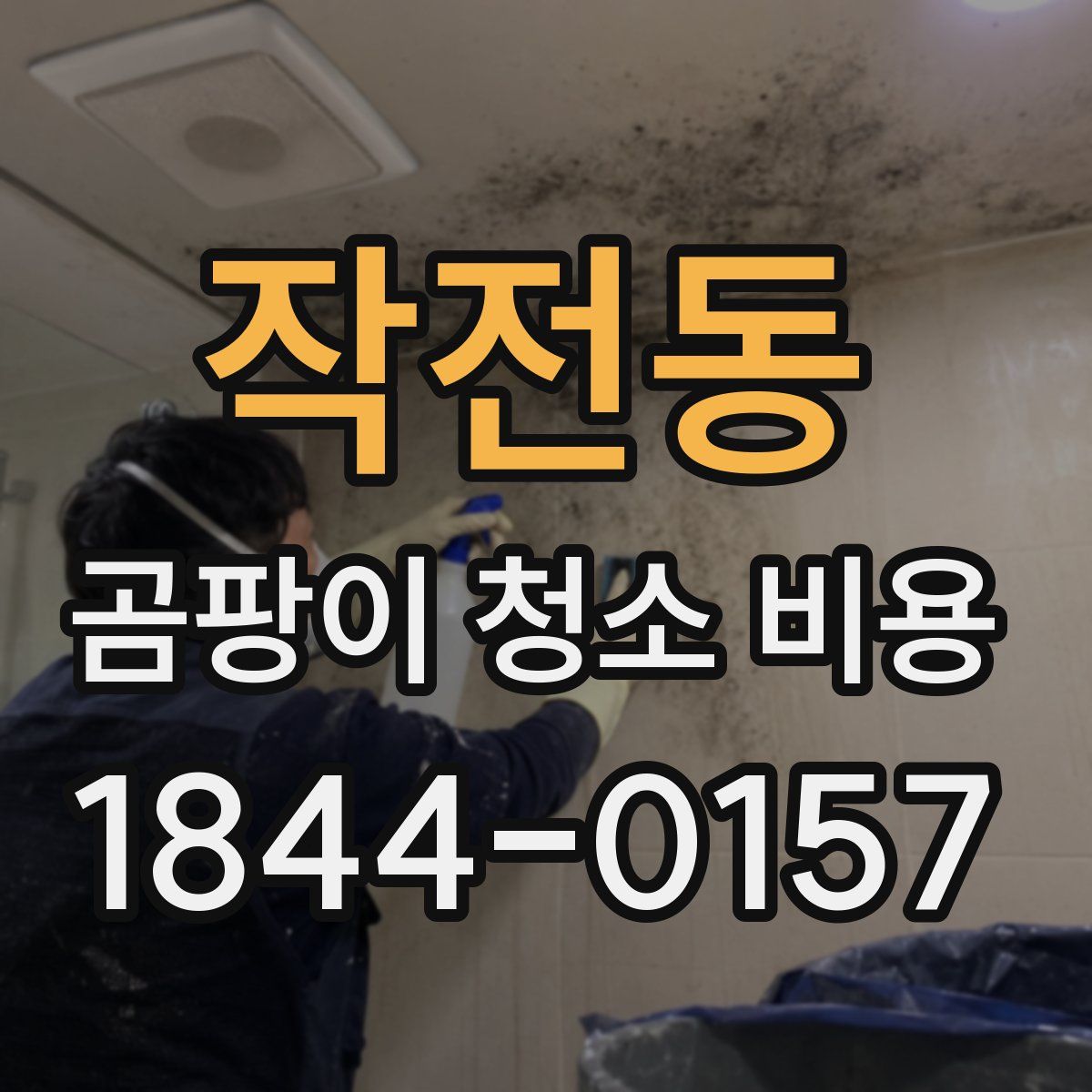 작전동 곰팡이 청소 비용
