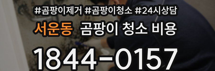 서운동 곰팡이 청소 비용