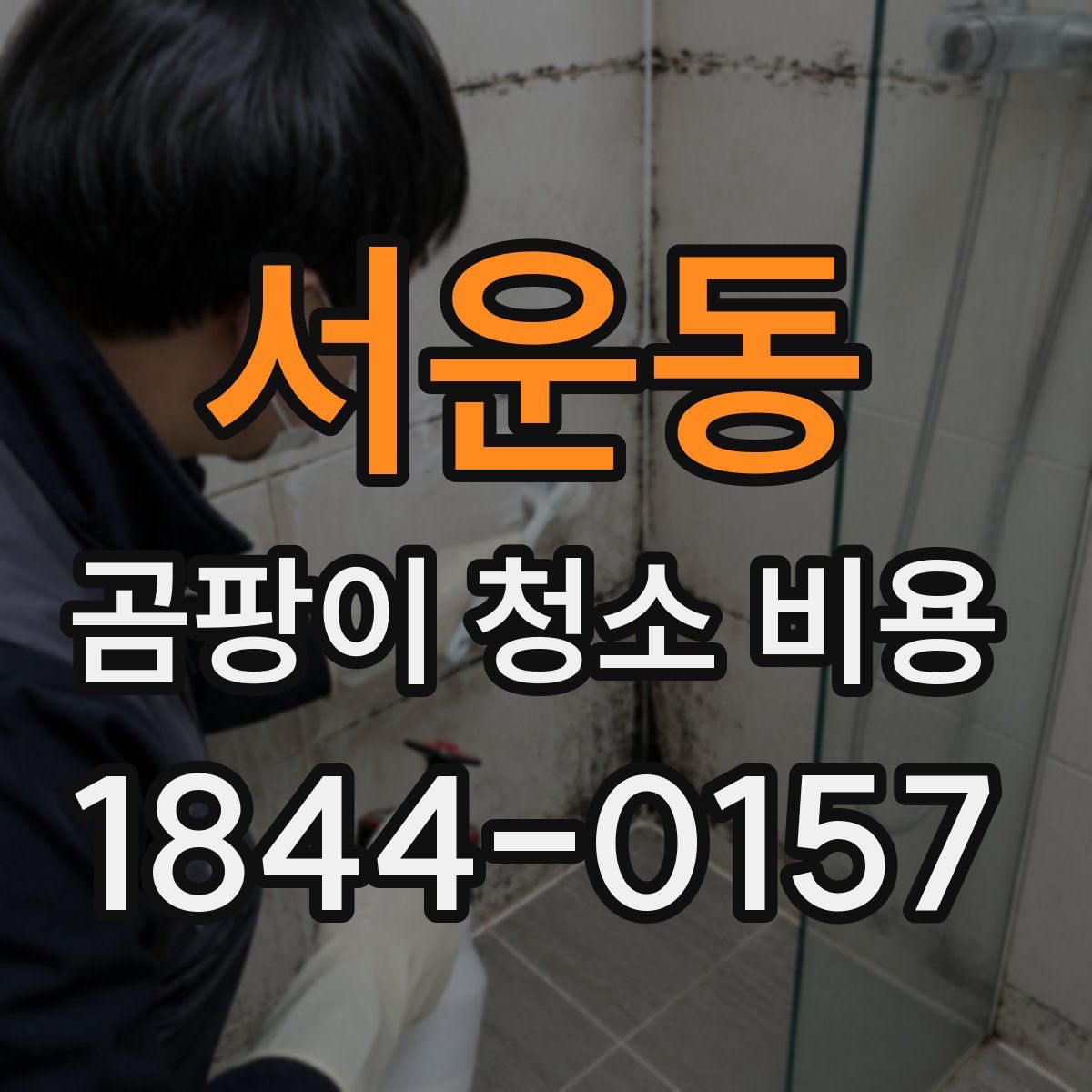 서운동 곰팡이 청소 비용