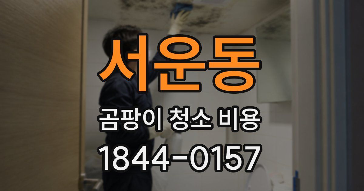 서운동 곰팡이 청소 비용