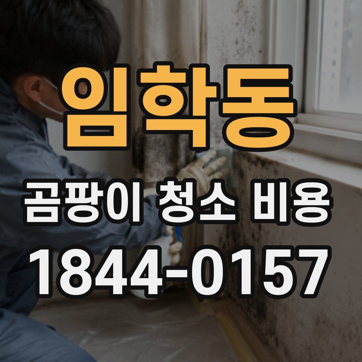 임학동 곰팡이 청소 비용