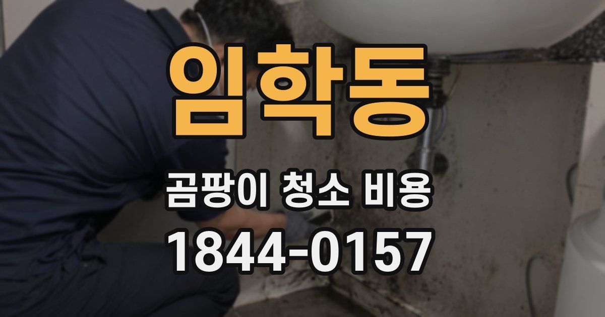 임학동 곰팡이 청소 비용