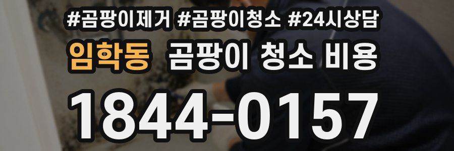 임학동 곰팡이 청소 비용