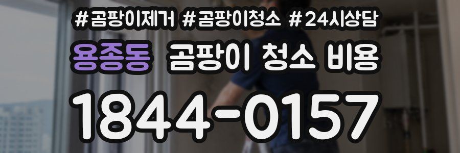용종동 곰팡이 청소 비용