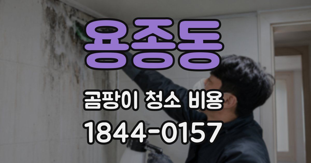 용종동 곰팡이 청소 비용