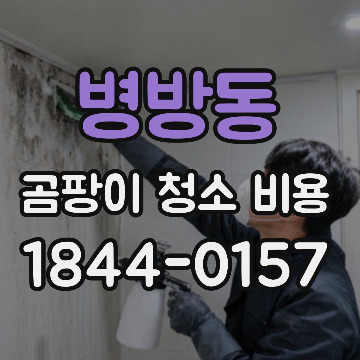 병방동 곰팡이 청소 비용