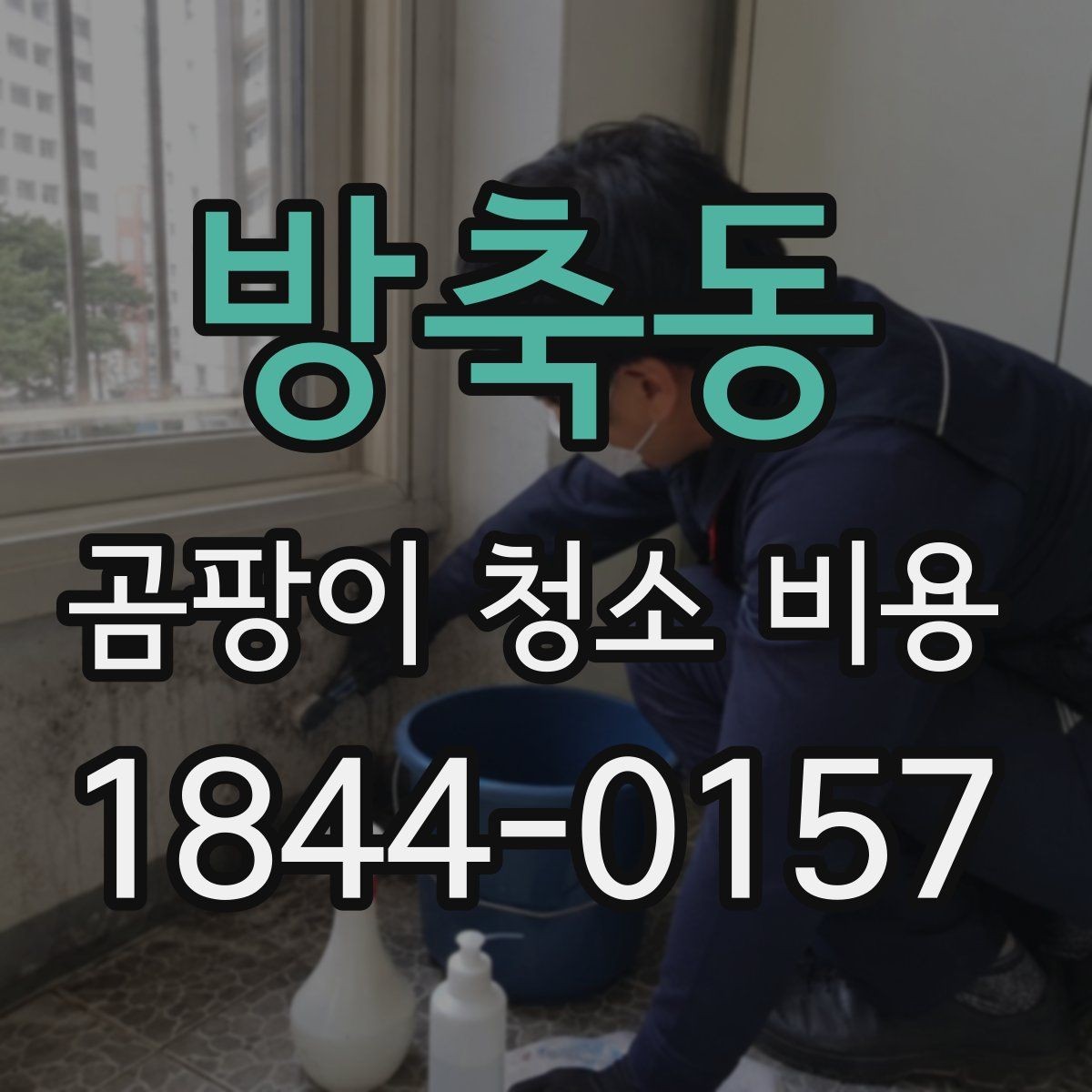 방축동 곰팡이 청소 비용 일반 가정과 상업 공간는 어떻게 달라질까