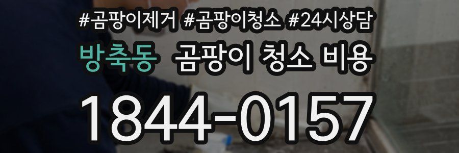 방축동 곰팡이 청소 비용
