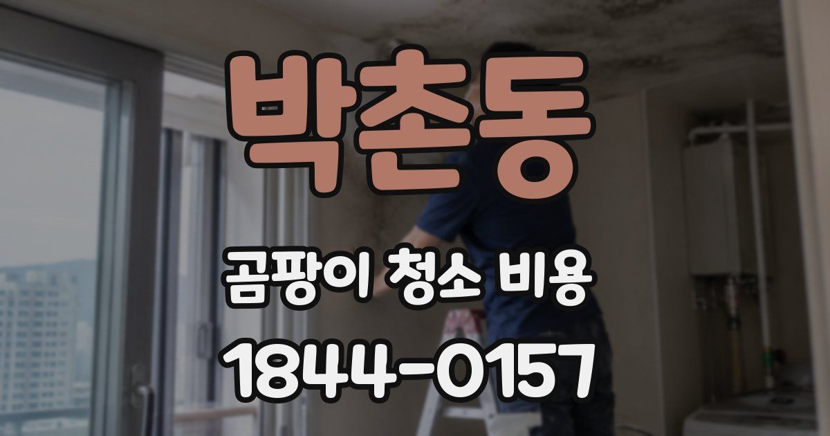 박촌동 곰팡이 청소 비용